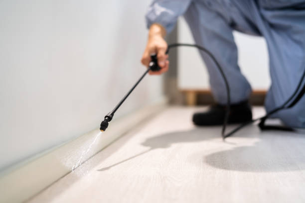 Licensed Termite Control service in San Antonio, FL - Nex Pest Control