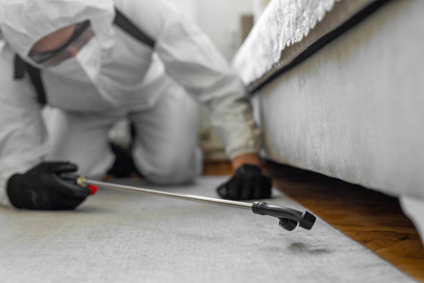 Professional Termite Control technician working in San Antonio, FL