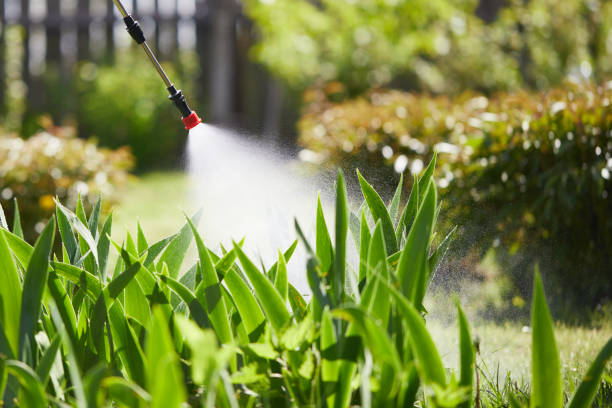 24/7 Emergency Termite Control experts in San Antonio, FL