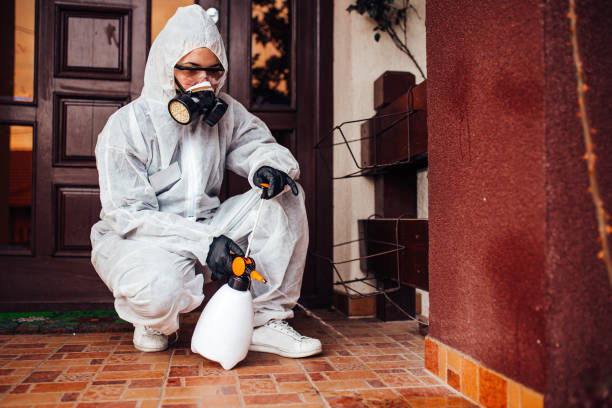 Reliable Termite Control contractor in San Antonio, FL by Nex Pest Control